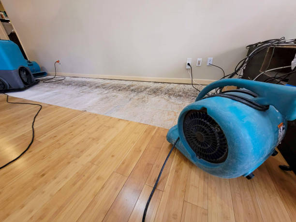 Professional Burst Pipe Water Damage technician working in Bradenton, FL